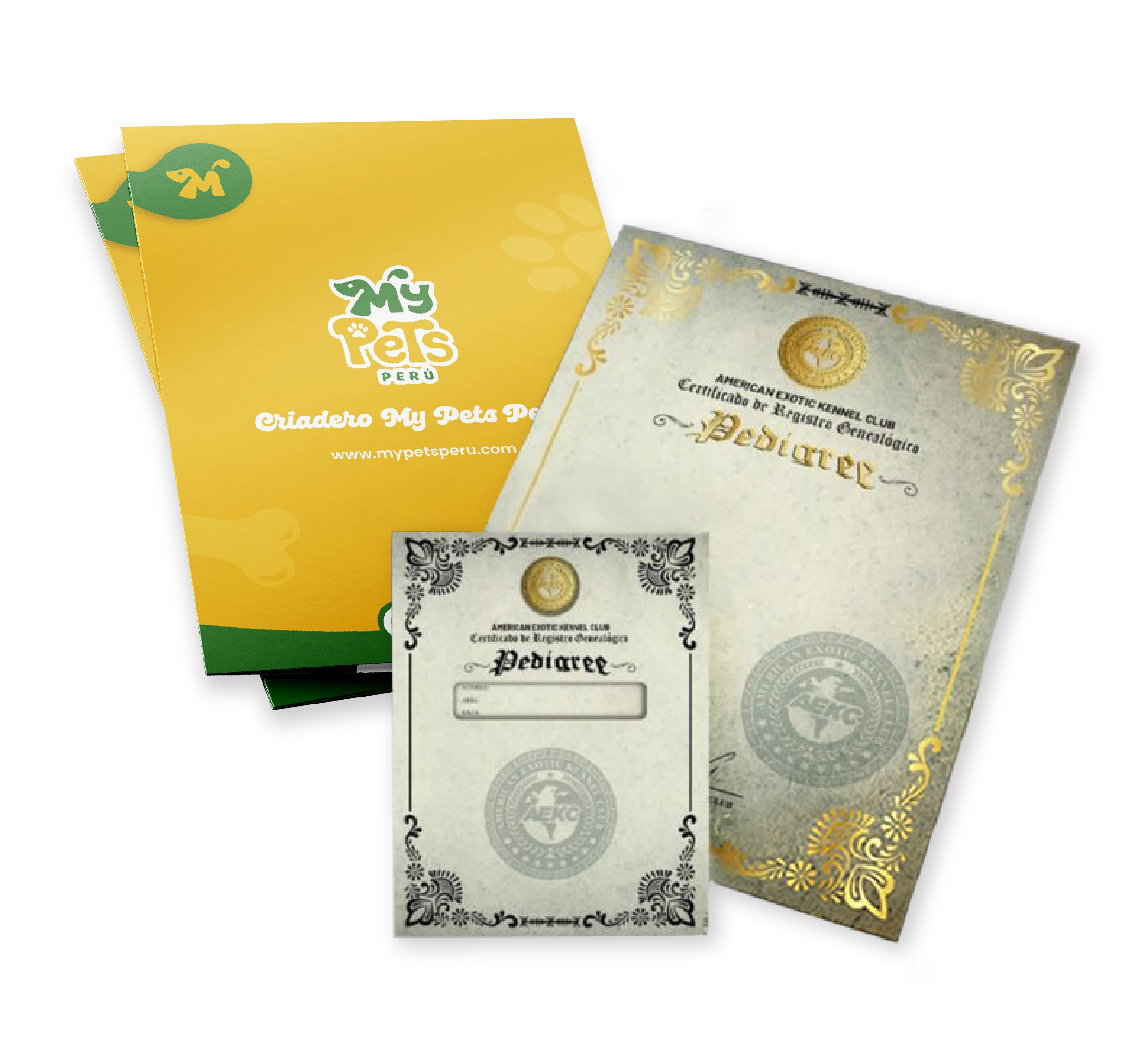 certificado-de-pedigree-03